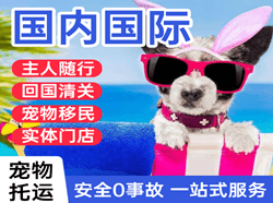 上海浦东航空物流国际宠物托运 【国